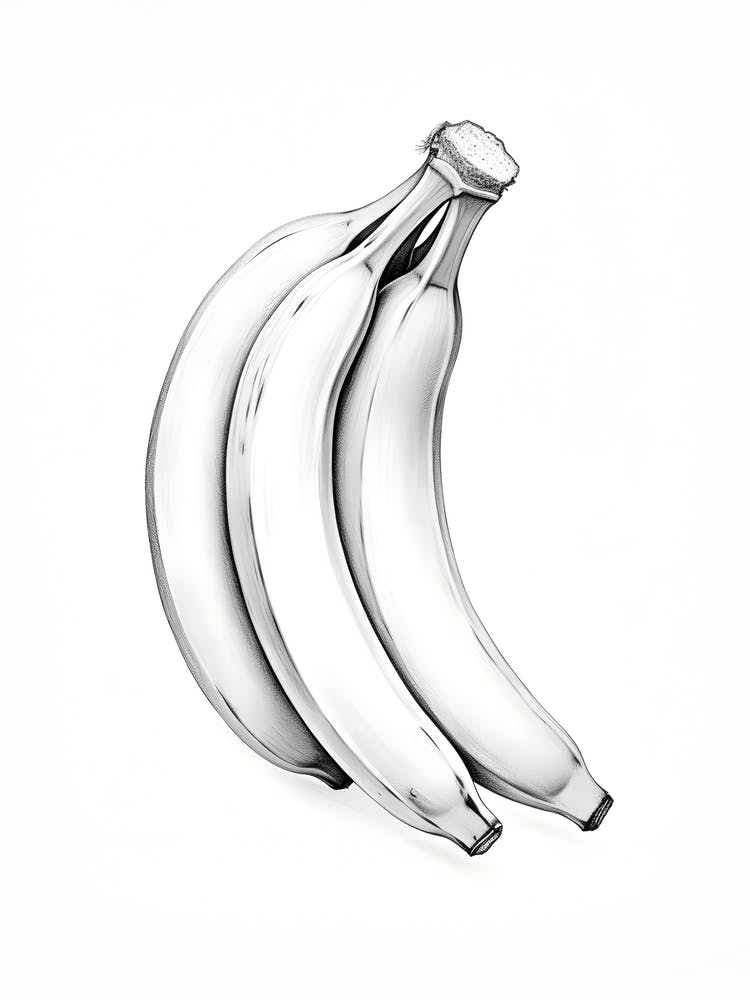 Bananas Drawing