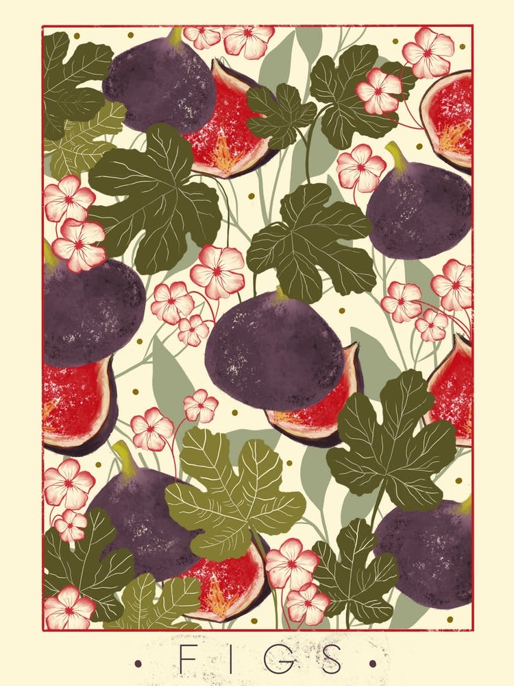 Fig