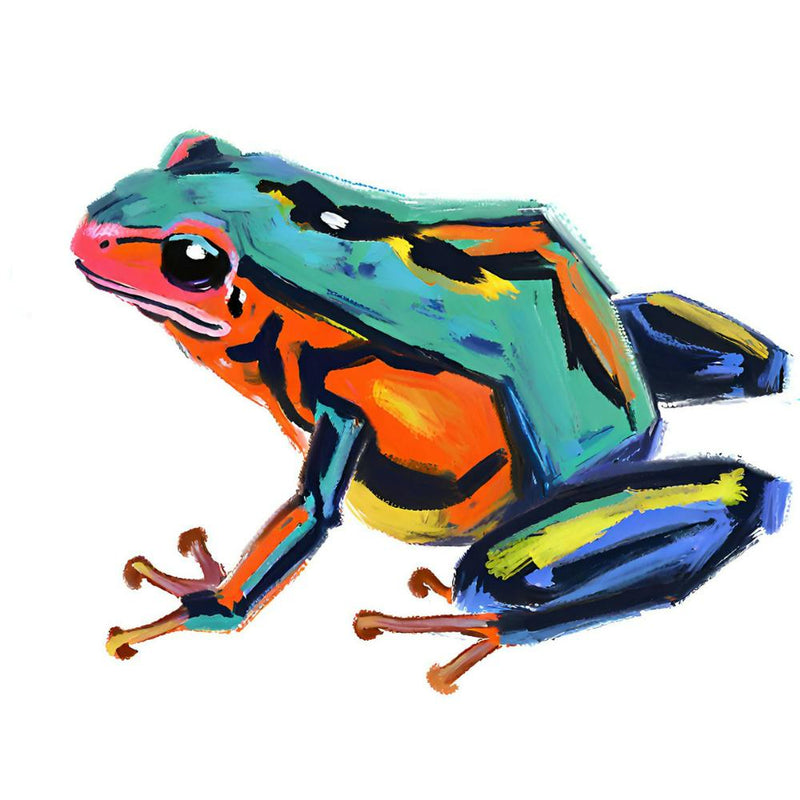 Poison Dart Frog 05