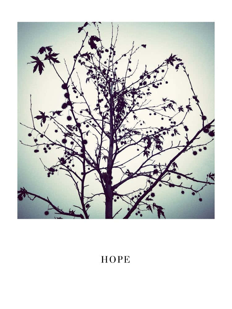 HOPE TREE