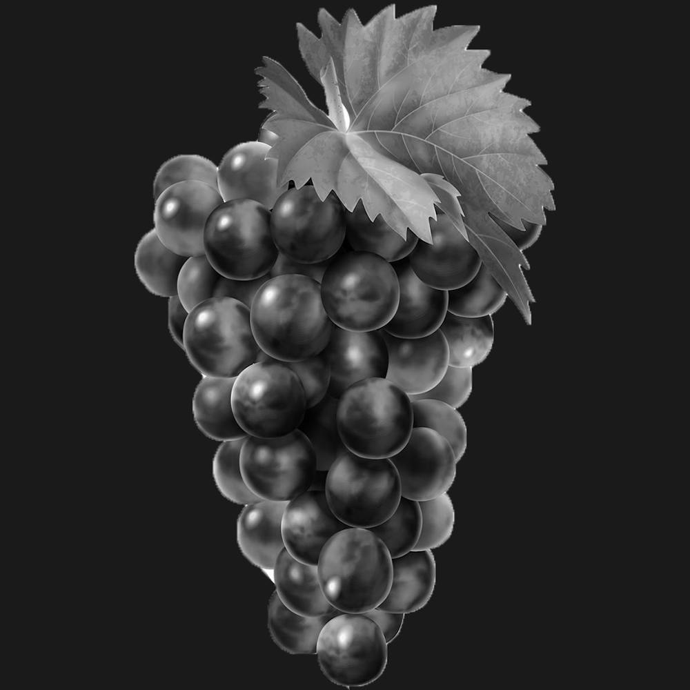 Raisins Noirs Et Blancs 1