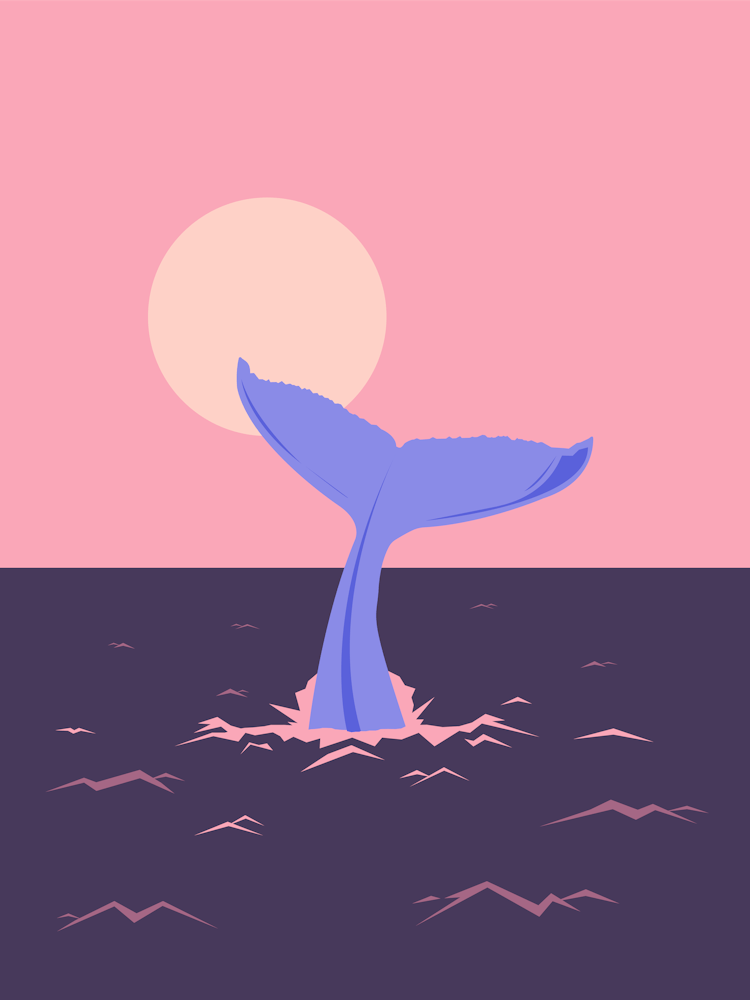 Whale Tail at sunset