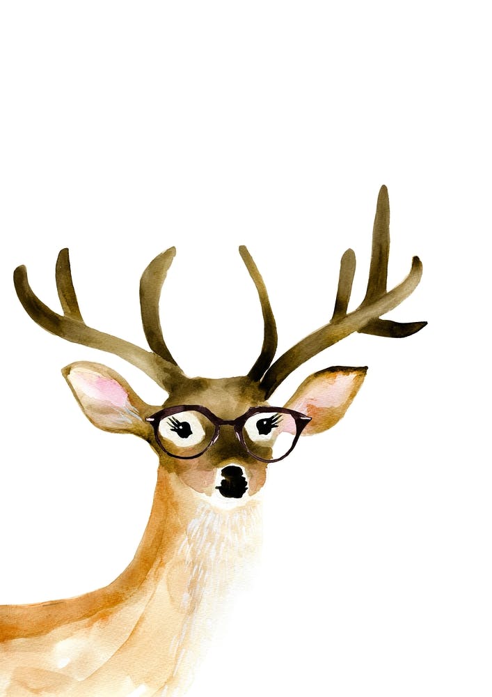 Cerf Avec Des Lunettes
