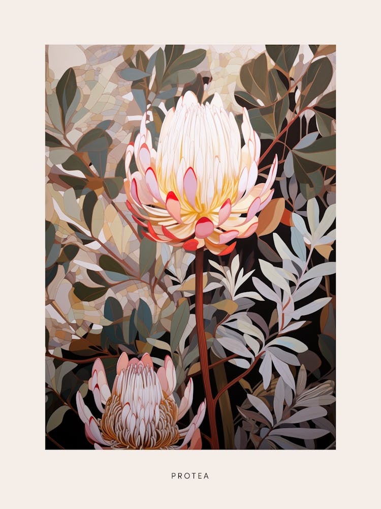 Flower Illustration Protea 5 Poster