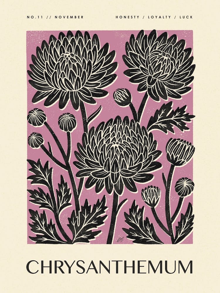 Rustic November Birth Flower Chrysanthemum Black Purple