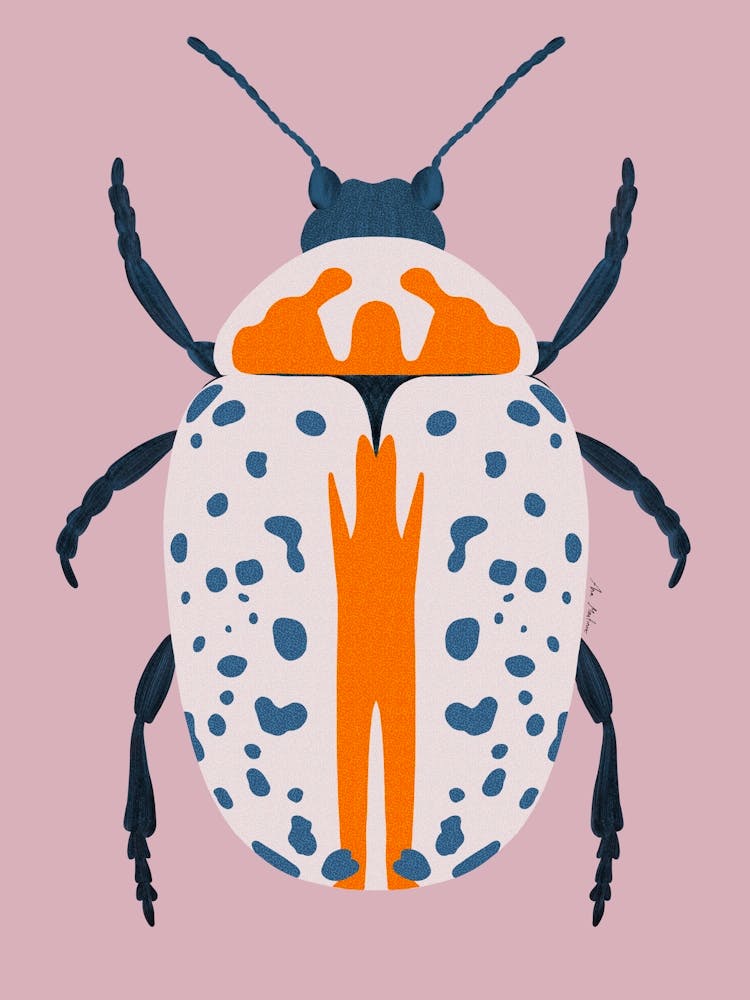 Orange and white Beetle