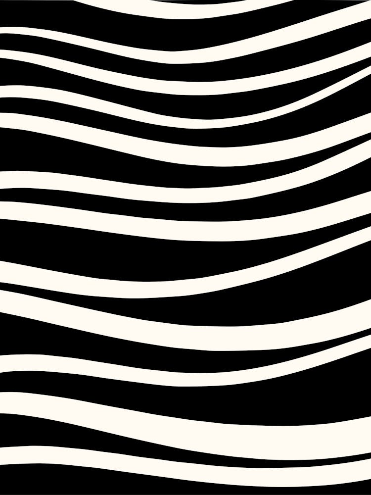 Zebra Stripes 19