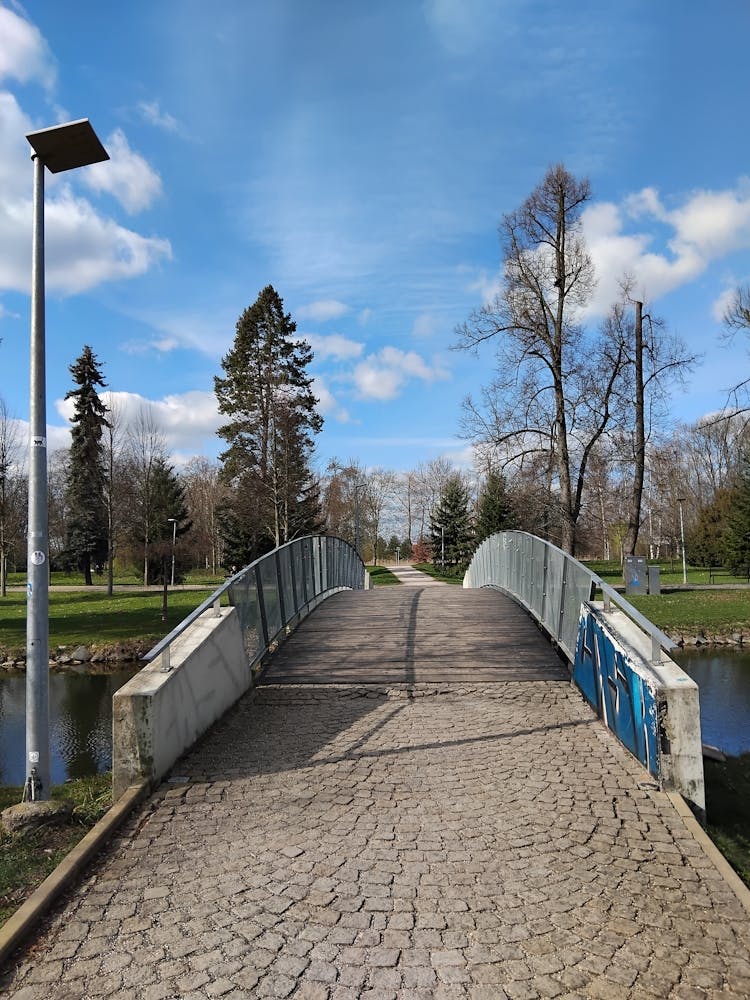 Bridge In The Park