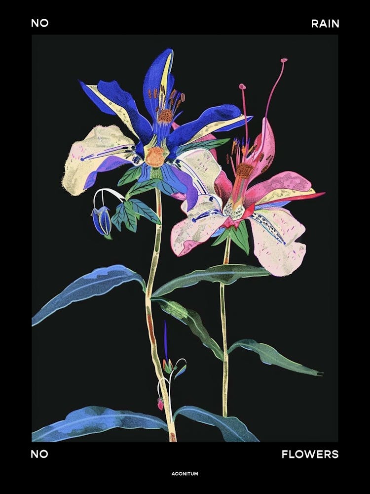 Kein Regen Keine Blumen Poster Aconitum 1