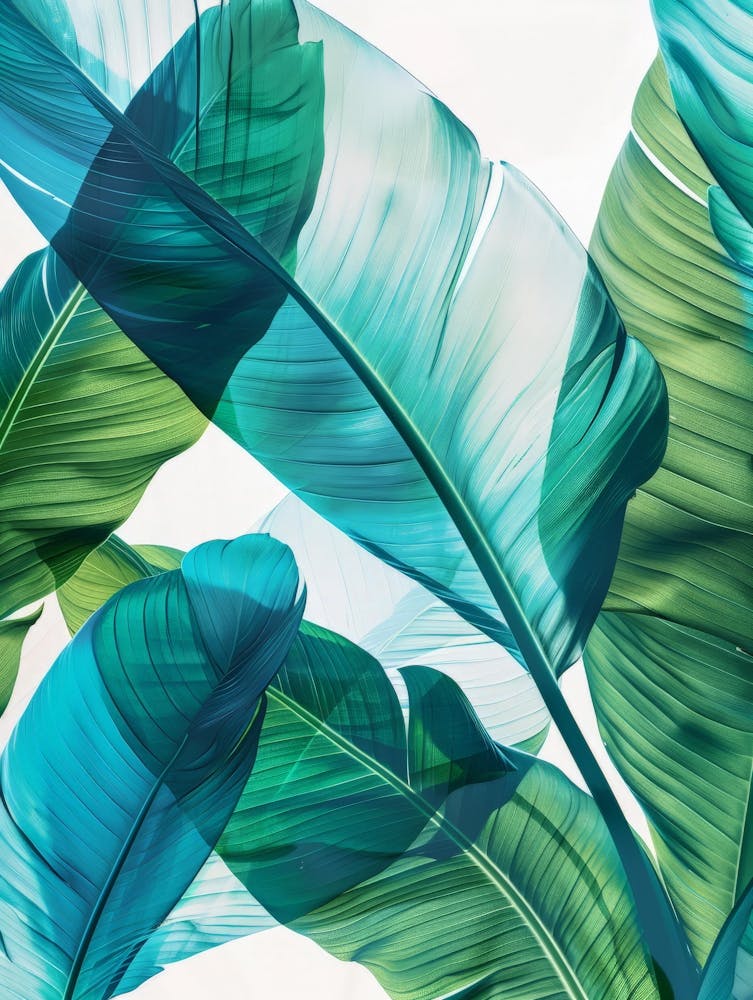 Feuilles tropicales 126