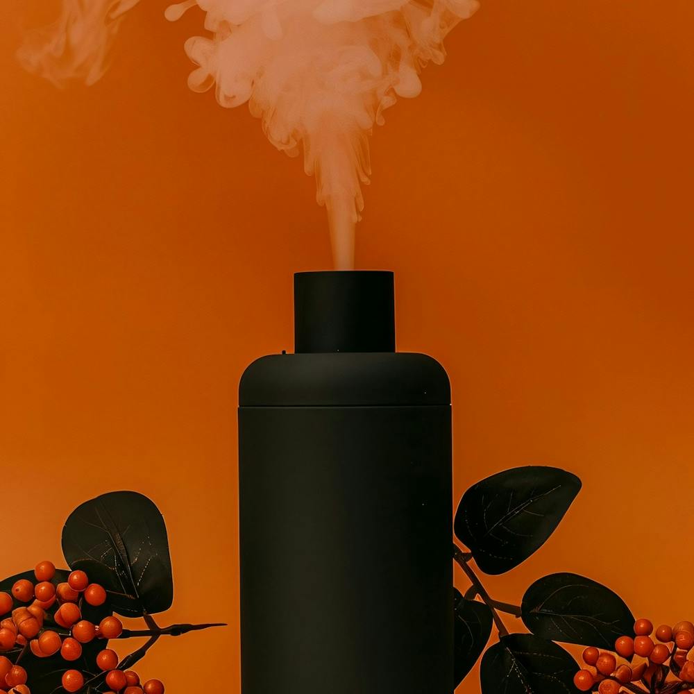 Black Humidifier With Orange Leaves