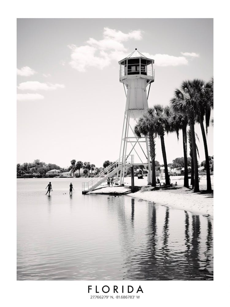 Poster Of Florida, Black And White Analogue Photograph 2