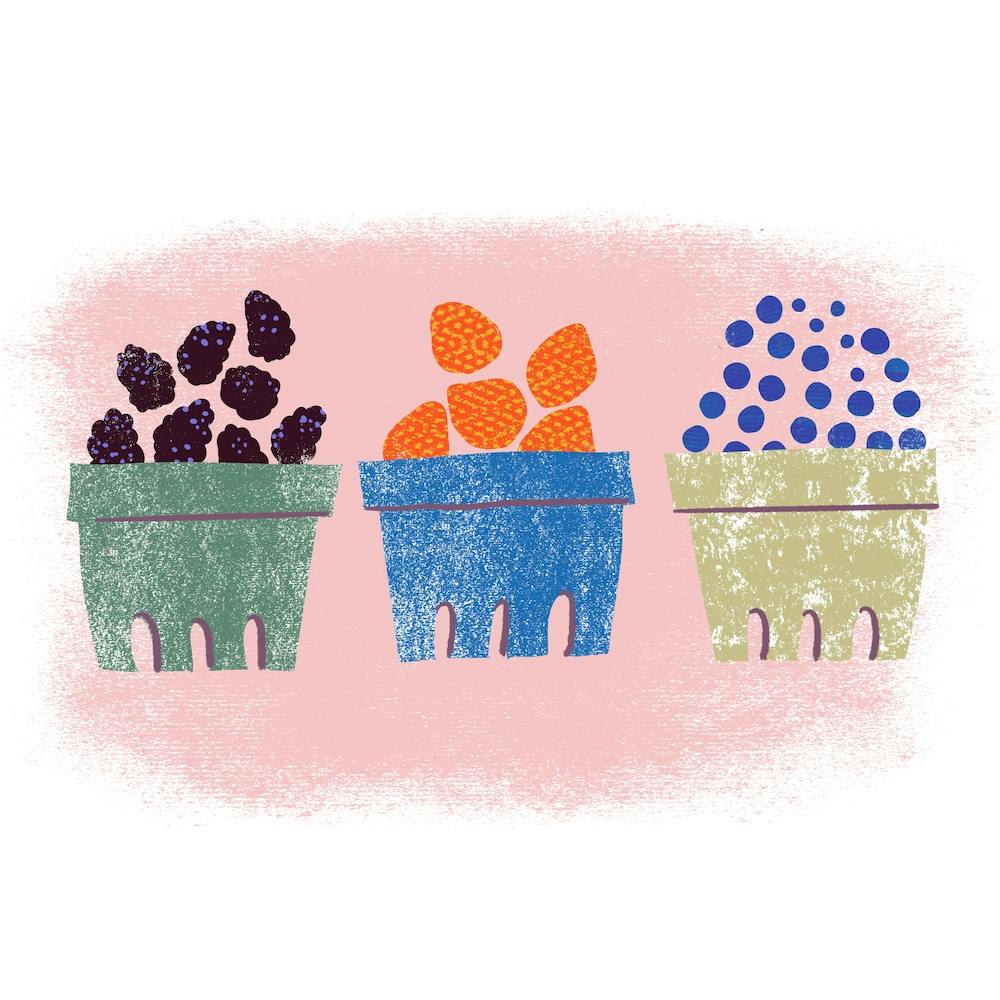 Basket Of Fresh Berries  Square