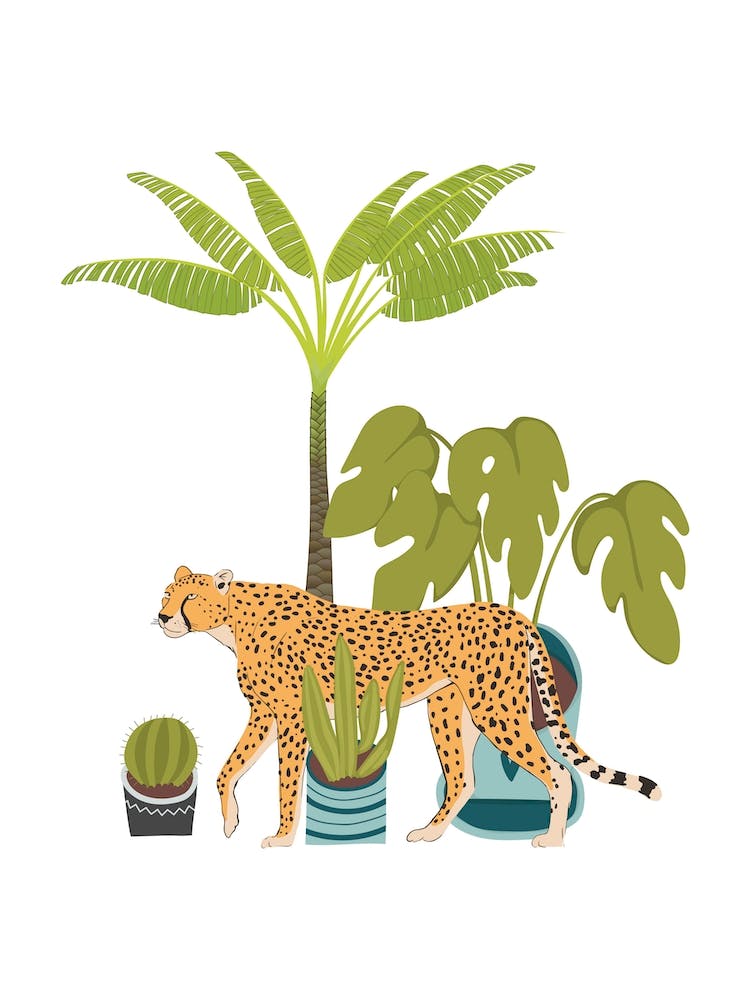 My Urban Jungle Cat 4