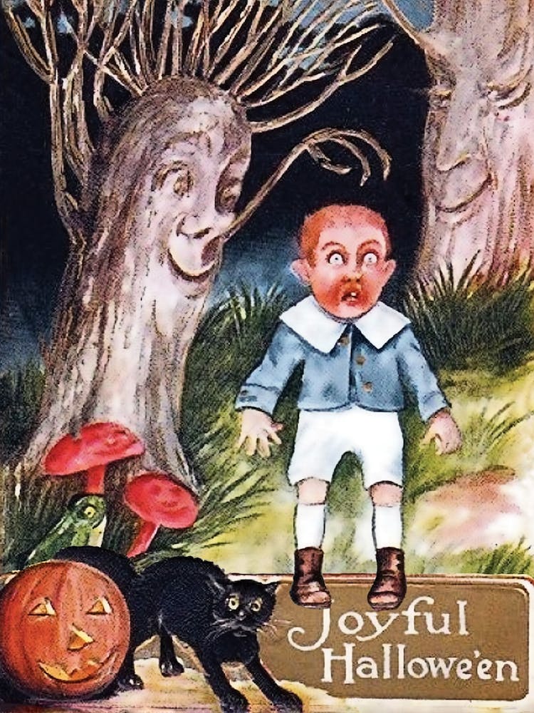 Funny Scared Boy In Magic Forest, At A Halloween Night