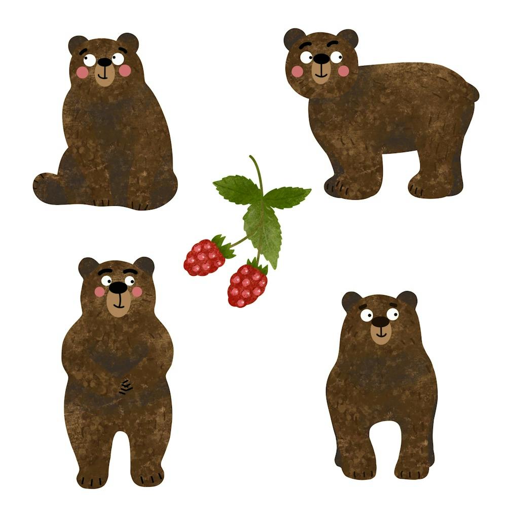 Set of brown bears with raspberries