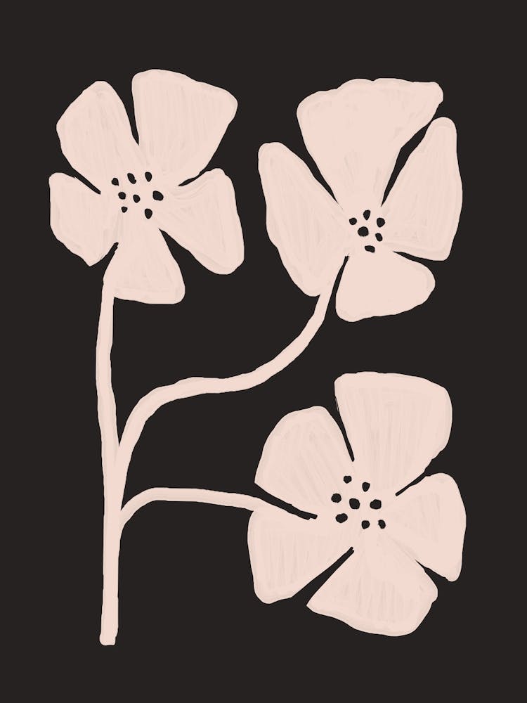 Flowers On A Black Background