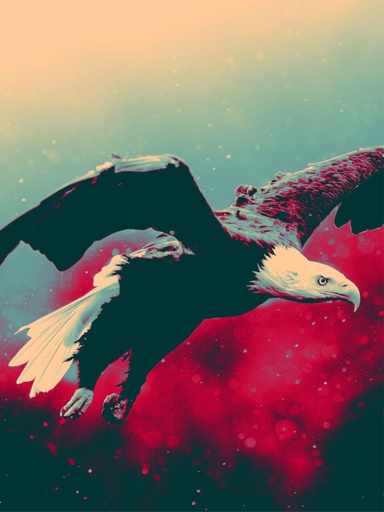 Hope Style Animals Retro