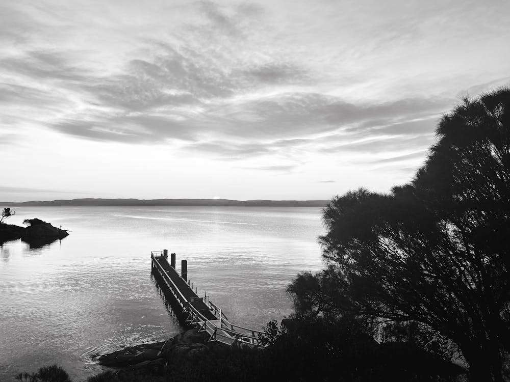 Black And White Pier 