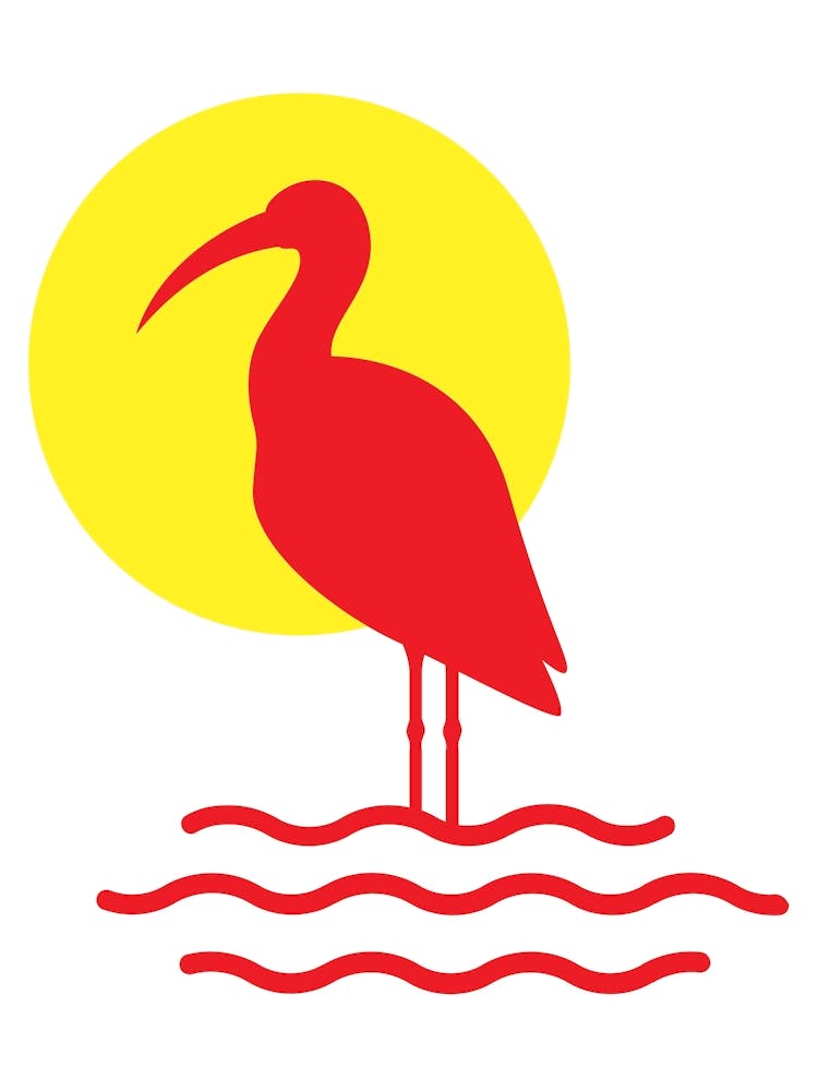 Red Ibis