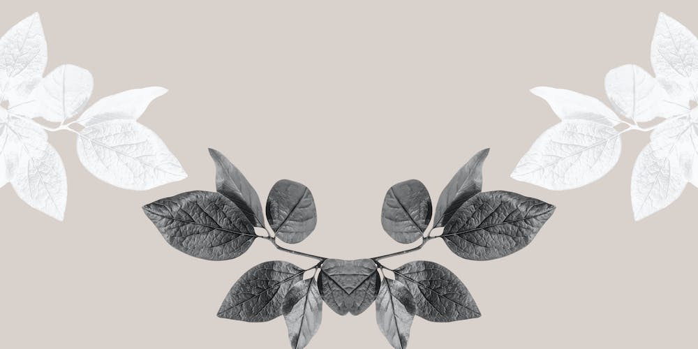 Black And White Leaves