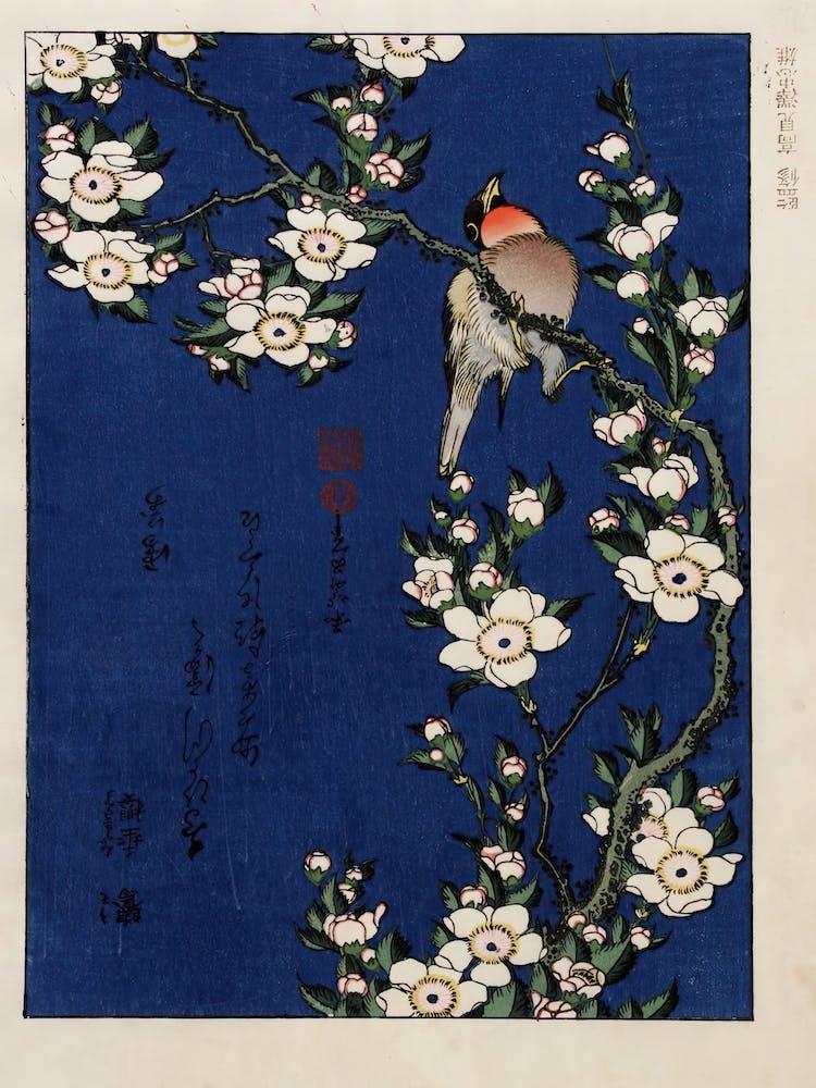 Robin On A Branch Of Cherry Blossom, Katsushika Hokusai