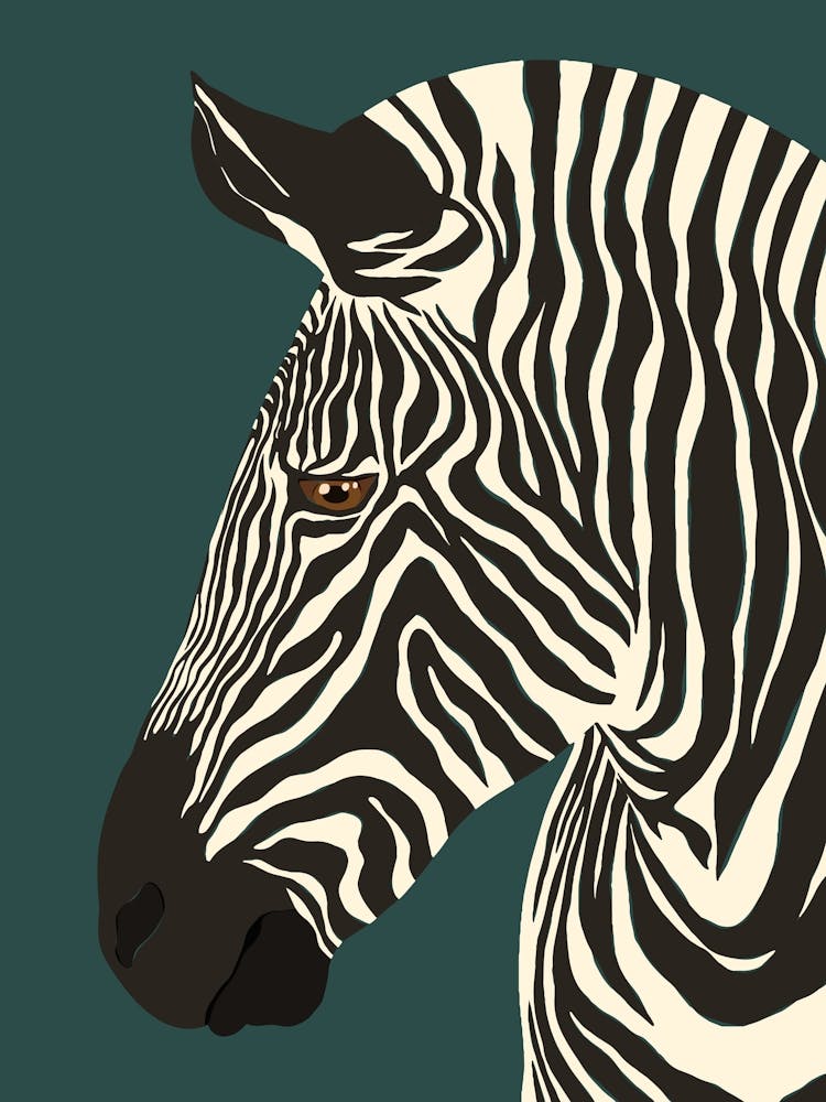 Jungle Safari Zebra on Dark Teal