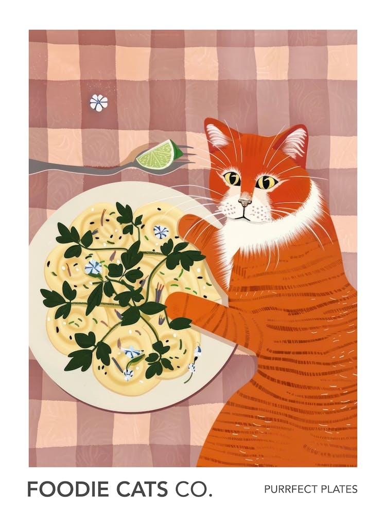 Foodie Cats Co Cat And Ravioli 1