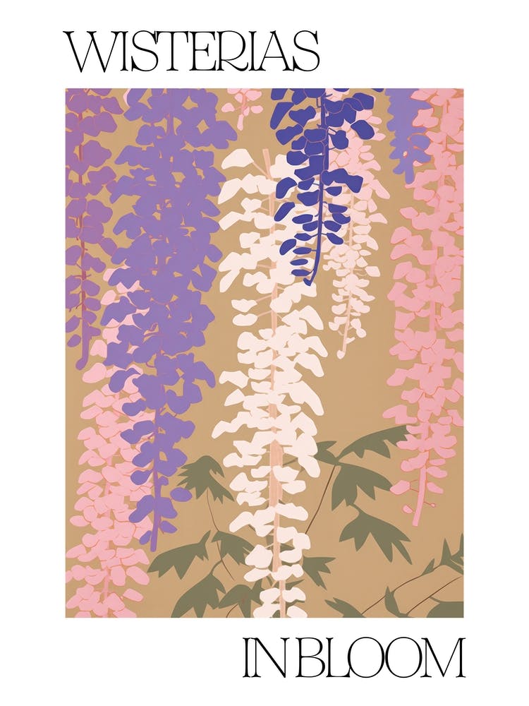 Wisterias In Bloom Flowers Bold Illustration 4