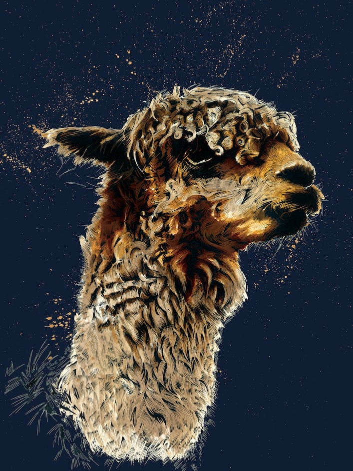 The Alpaca On Midnight Blue