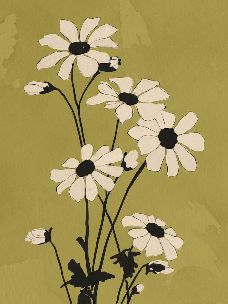 Daisy Flowers 6