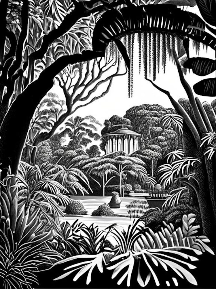 Jardim Botânico Do Rio De Janeiro, Brazil Linocut Black And White Vintage