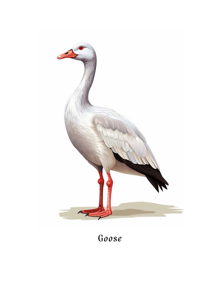 Goose Kids Animal Poster