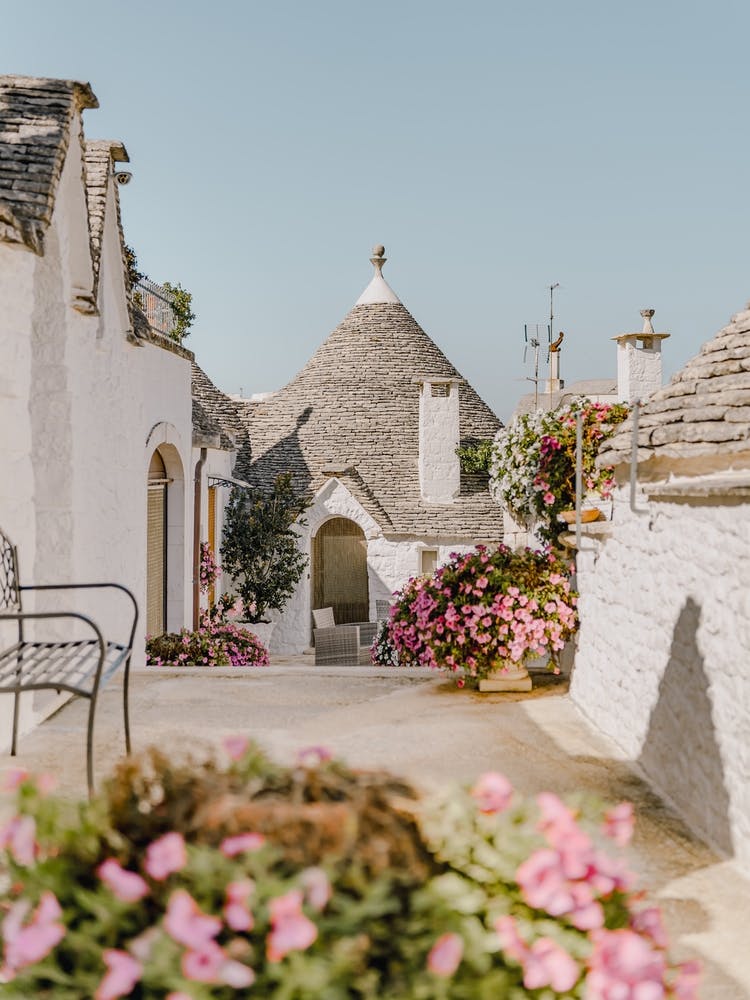 Trulli-Häuser mit lila Blumen in Alberobello, Apulien, Italien | Architektur- und Reisefotografie