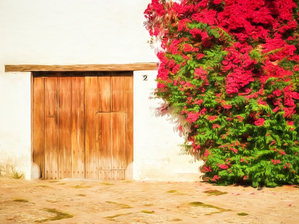 Floral Details Cordoba Spain
