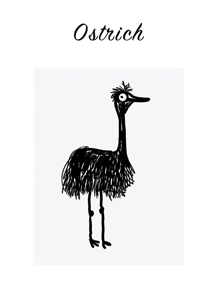 B&W Ostrich Poster