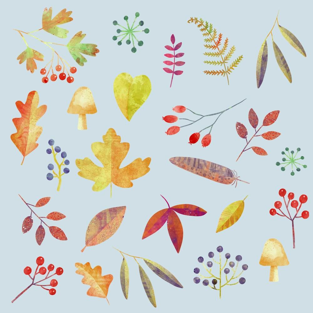 Autumn Leaves Forest Floor Watercolor