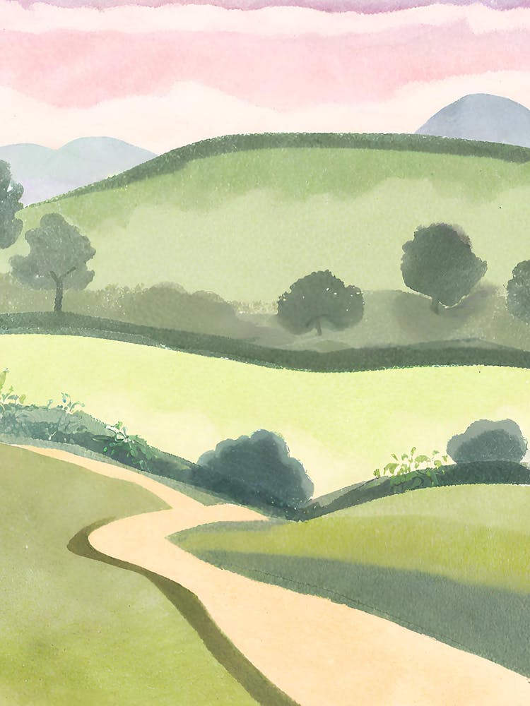 Walk In The Countryside