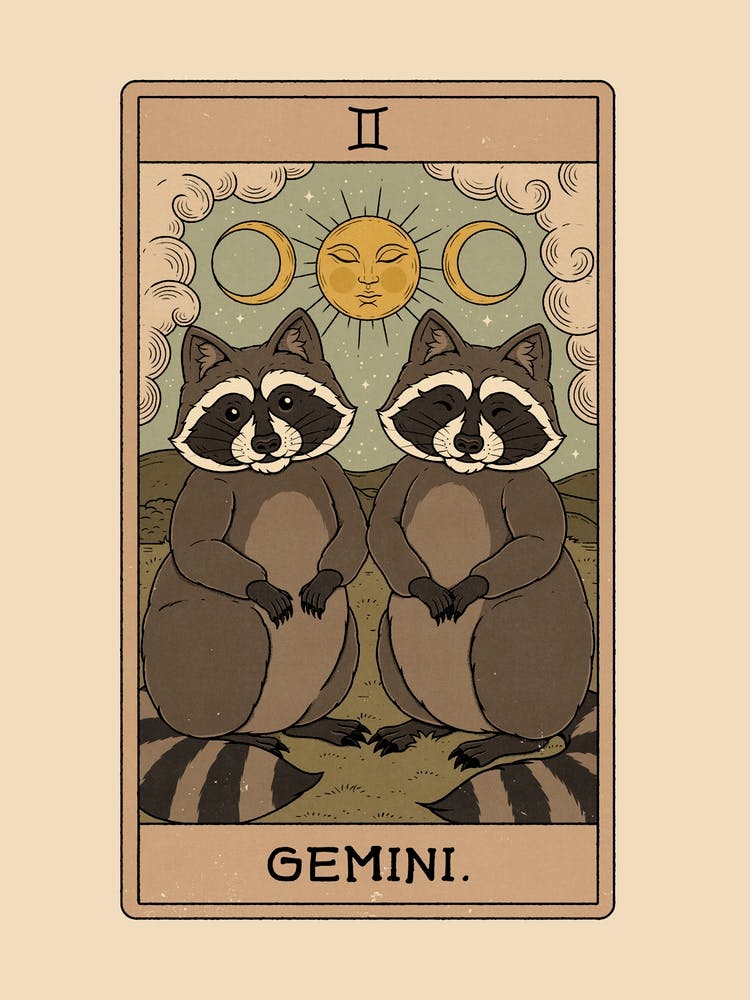 Gemini Raccoons Zodiac
