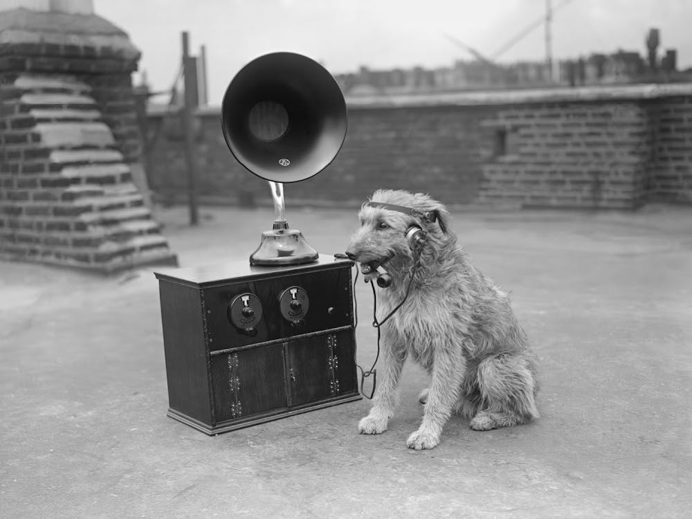Dog Listening To Music, Dog With Radio, Vintage Black and White Old Photo