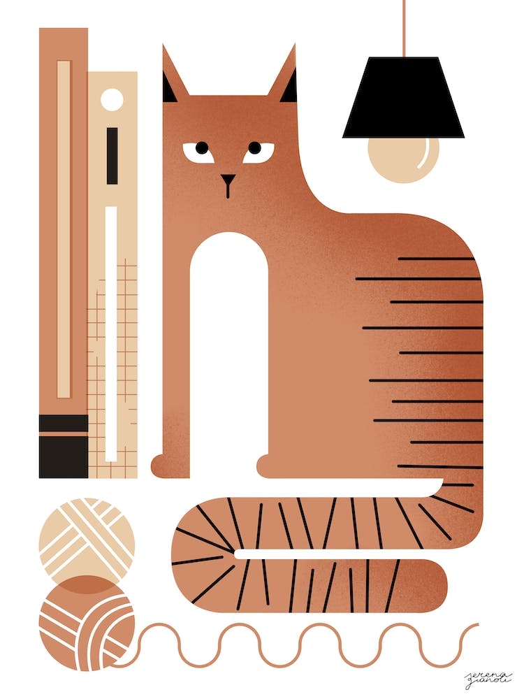 Kitty On The Bookshelf