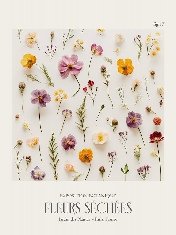 Fleurs Sechees, Dried Flowers Exhibition Poster 17