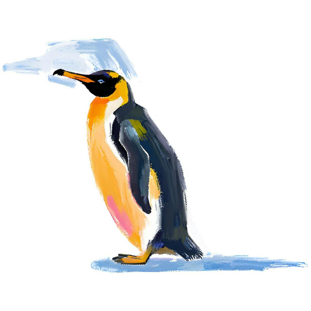King Penguin 04
