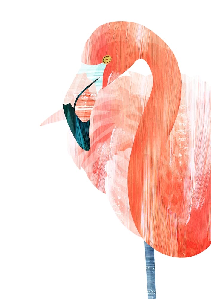 Pink Lady