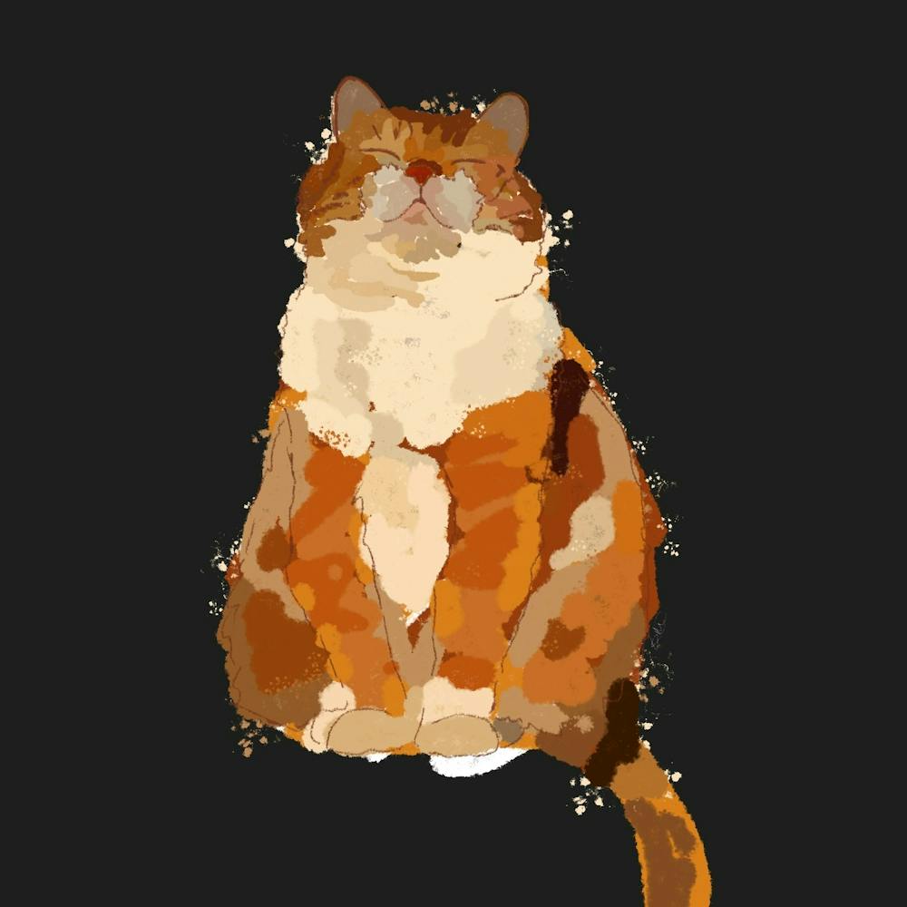 Orange Tabby Cat