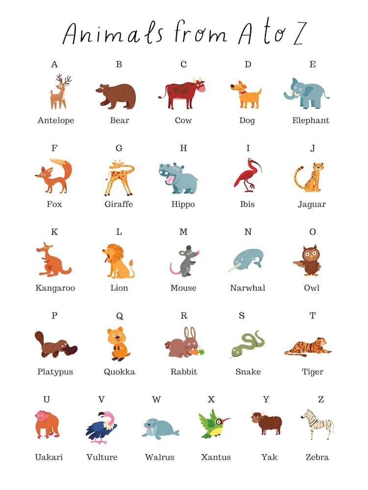 Animals From A To Z