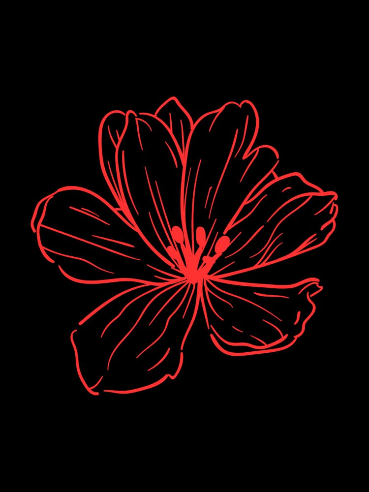 Red Flower