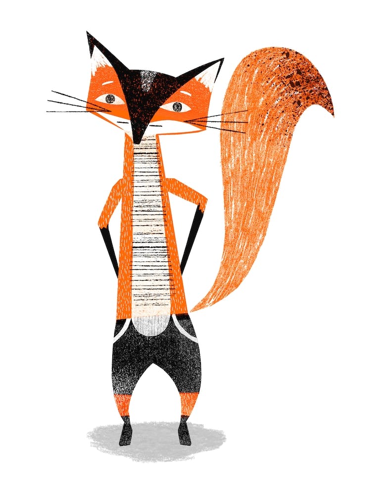 Mr Fox
