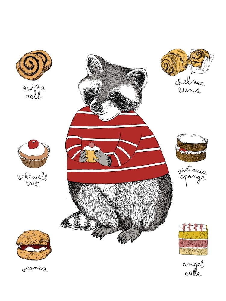 Raccoon Loves Cakes