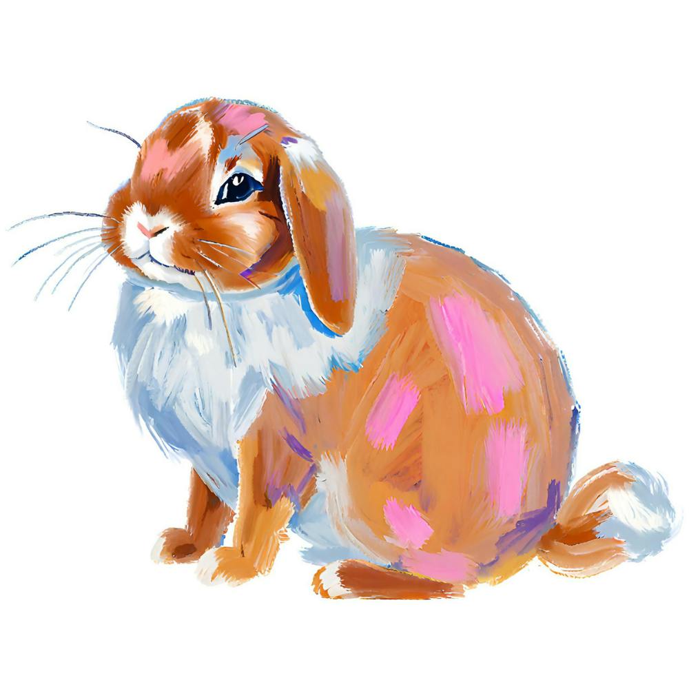 Holland Lop Rabbit 04